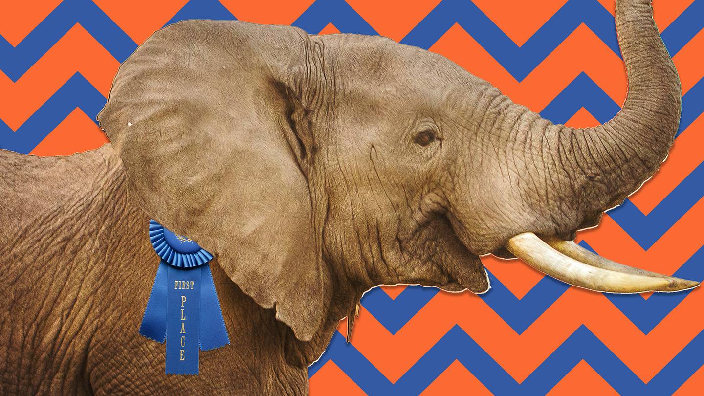 17 Wild Animal Superlatives