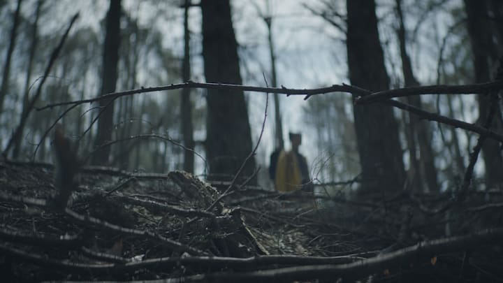 Hulu - Wild Crime: Blood Mountain - Courtesy ABC News Studios