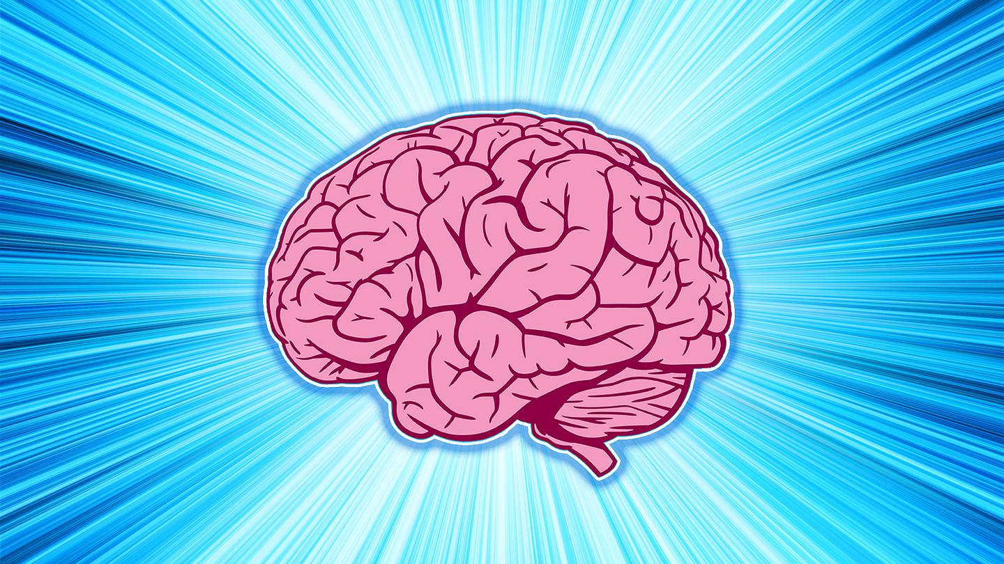 135 Amazing Facts for People Who Like Amazing Facts