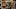 Season_1_Trailer__A_Good_Girl's_Guide_to_Murder_u_00_00_42_00 Season_1_Trailer__A_Good_Girl's_Guide_to_Murder_u_00_00_42_00