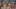 America's Sweethearts: Dallas Cowboys Cheerleaders season 3 on Netflix America's Sweethearts: Dallas Cowboys Cheerleaders season 3 on Netflix