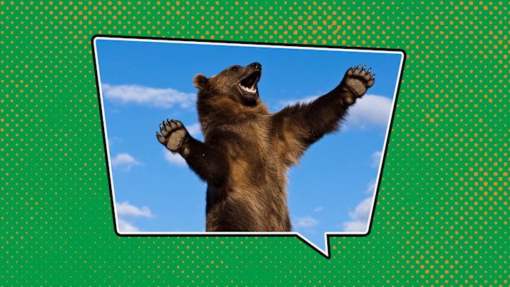 Irish has a name for grizzly bear, even if the bears don't inhabit the country.