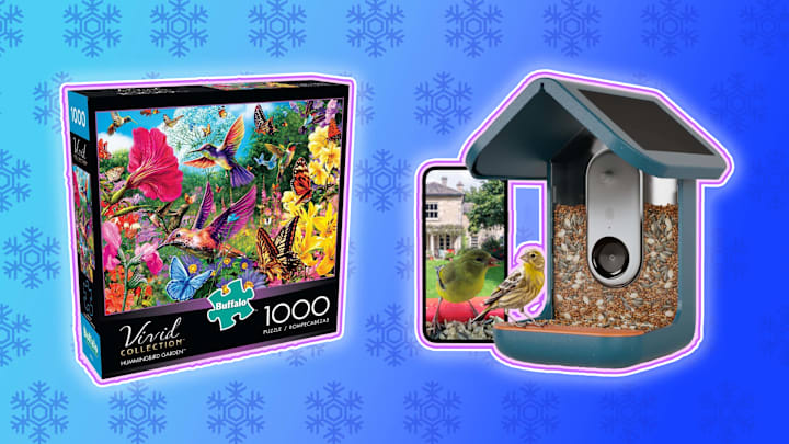Buffalo Games Hummingbird Garden Jigsaw Puzzle (left), Bird Buddy Smart Bird Feeder with Camera