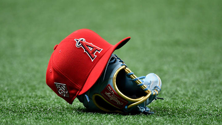 Los Angeles Angels v Tampa Bay Rays