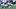 New York Giants safety Jevon Holland New York Giants safety Jevon Holland