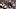 New England Patriots receiver Ja'Lynn Polk New England Patriots receiver Ja'Lynn Polk