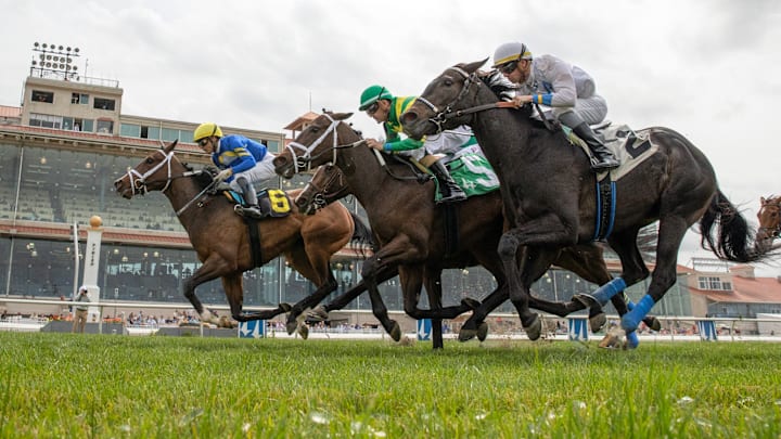 Fair Grounds Horse Racing