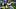 New York Giants nose tackle Austin Johnson New York Giants nose tackle Austin Johnson