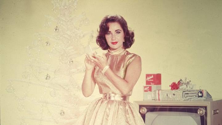 Portrait Of Elizabeth Taylor