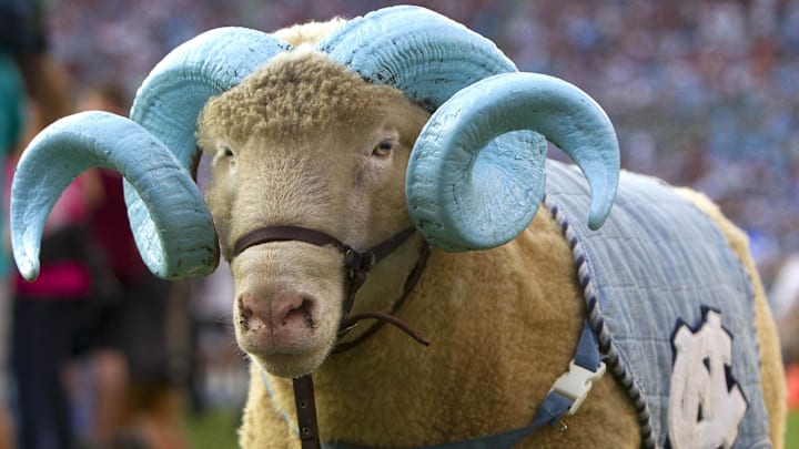Sep 3, 2015; Charlotte, NC, USA; North Carolina Tar Heels mascot Rameses XXII during the second quarter against the South Carolina Gamecocks at Bank of America Stadium. Mandatory Credit: Joshua S. Kelly-Imagn Images