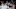 washington capitals washington capitals