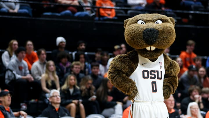 Benny Beaver hangs out on the court during half time as he waits for an Oregon State Beavers game to resume. He has ben the schools mascot since 1952. Benny Beaver hangs out on the court during half time as he waits for an Oregon State Beavers game to resume. He has ben the schools mascot since 1952.