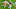 Chicago Bears, Frank Clark Chicago Bears, Frank Clark