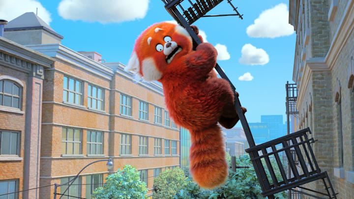RED ALERT – In Disney and Pixar’s all-new original feature film “Turning Red,” 13-year-old Mei Lee “poofs” into a giant panda when she gets too excited (which for a teenager is practically ALWAYS). This unfortunate new reality for the teenager lands her in a multitude of awkward situations. Featuring Rosalie Chiang as the voice of Mei Lee, “Turning Red” will debut exclusively on Disney+ (where Disney+ is available) on March 11, 2022. © 2022 Disney/Pixar. All Rights Reserved.