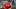 Atlanta Braves designated hitter Drake Baldwin