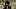 Colorado Buffaloes Wide Receiver Quanell Farrakhan Jr. Baylor Bears Breakout Catch McLane Stadium Big 12 Waco 2026 Colorado Buffaloes Wide Receiver Quanell Farrakhan Jr. Baylor Bears Breakout Catch McLane Stadium Big 12 Waco 2026