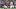 The Washington Commanders and Dallas Cowboys in an NFL game. The Washington Commanders and Dallas Cowboys in an NFL game.