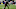 Los Angeles Chargers wide receiver Quentin Johnston