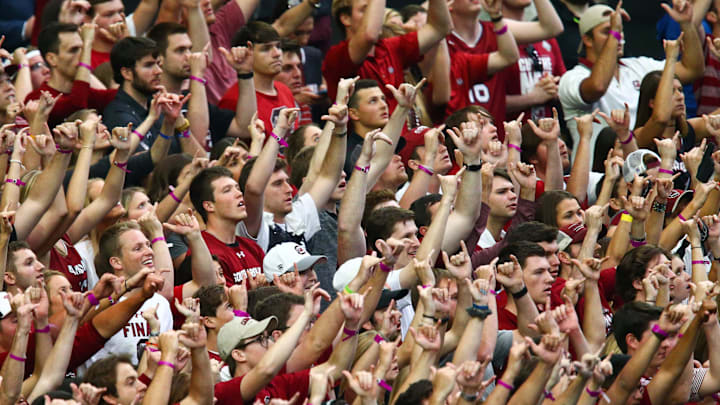 South Carolina Gamecocks fans