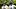 Pittsburgh Steelers wide receiver Michael Pittman Jr. (11) and DK Metcalf (4) Pittsburgh Steelers wide receiver Michael Pittman Jr. (11) and DK Metcalf (4)