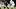 Mississippi State Bulldogs offensive linemen Jayvin Q. James (77) Mississippi State Bulldogs offensive linemen Jayvin Q. James (77)