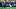 Towson Tigers can't stop Navy's rushing attac