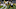 Dec 3, 2023; Pittsburgh, Pennsylvania, USA; Arizona Cardinals tight end Trey McBride (85) runs after Dec 3, 2023; Pittsburgh, Pennsylvania, USA; Arizona Cardinals tight end Trey McBride (85) runs after