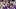 LSU quarterback Sam Leavitt
