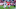 Chicago Bears, Jaxon Smith Njigba Chicago Bears, Jaxon Smith Njigba