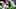 Dec 17, 2023; Miami Gardens, Florida, USA; Miami Dolphins linebacker Bradley Chubb (2) and Miami Dec 17, 2023; Miami Gardens, Florida, USA; Miami Dolphins linebacker Bradley Chubb (2) and Miami