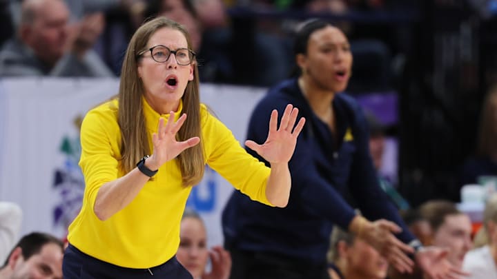 Michigan women's basketball