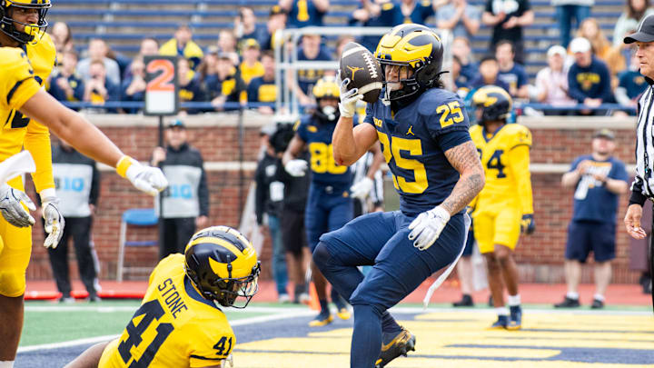 Michigan Maize vs Blue Spring Game