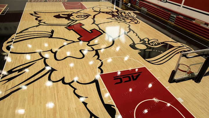 The new image of the cardinal mascot dunking has been completed on the floor of the U of L basketball practice facility on Floyd Street. May 15, 2019

T9i1129 Uofl Logo