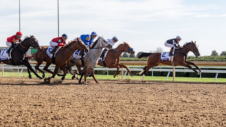 La Cara ridden by jockey Dylan Davis won the $600,000 Central Bank Ashland Stakes Monday afternoon at Keeneland race track in Lexington, Kentucky. April 7, 2025 La Cara ridden by jockey Dylan Davis won the $600,000 Central Bank Ashland Stakes Monday afternoon at Keeneland race track in Lexington, Kentucky. April 7, 2025
