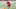 Sep 16, 2023; Piscataway, New Jersey, USA; Rutgers Scarlet Knights wide receiver Christian Dremel (6). Sep 16, 2023; Piscataway, New Jersey, USA; Rutgers Scarlet Knights wide receiver Christian Dremel (6).