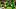 oregon ducks running back brandon smith usc trojans quarterback dylan raiola dante moore dan lanning jamari johnson football oregon ducks running back brandon smith usc trojans quarterback dylan raiola dante moore dan lanning jamari johnson football