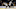 Jan 2, 2024; Columbus, Ohio, USA; Boston Bruins goalies Jeremy Swayman (1) and Linus Ullmark (35) Jan 2, 2024; Columbus, Ohio, USA; Boston Bruins goalies Jeremy Swayman (1) and Linus Ullmark (35)