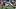 Las Vegas Raiders defensive end Maxx Crosby Las Vegas Raiders defensive end Maxx Crosby