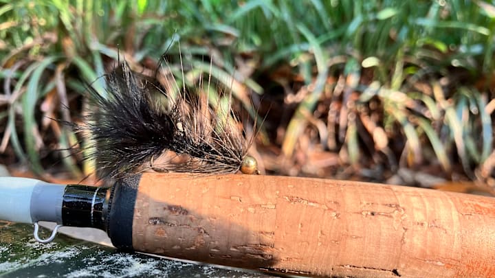 It's hard to go wrong with a Woolly Bugger. 