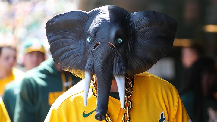 Shortstop Jacob Wilson (5) is the man under the elephant mask, part of the Athletics' new home run celebration. Shortstop Jacob Wilson (5) is the man under the elephant mask, part of the Athletics' new home run celebration.