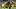 Pittsburgh Steelers running back Eli Heidenreich Pittsburgh Steelers running back Eli Heidenreich