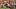 Colorado Buffaloes Safety Randon Fontenette Interception Weber State Nate Dahle Folsom Field Home Opener 2026 Colorado Buffaloes Safety Randon Fontenette Interception Weber State Nate Dahle Folsom Field Home Opener 2026