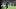 Tetairoa McMillan, WR, Carolina Panthers Tetairoa McMillan, WR, Carolina Panthers