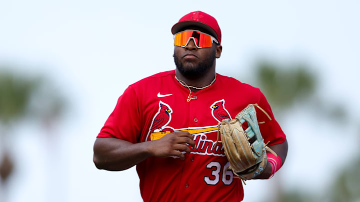Houston Astros v St. Louis Cardinals