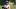Pittsburgh Steelers quarterback Drew Allar Pittsburgh Steelers quarterback Drew Allar