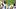 Pittsburgh Steelers quarterback Aaron Rodgers (8) Pittsburgh Steelers quarterback Aaron Rodgers (8)