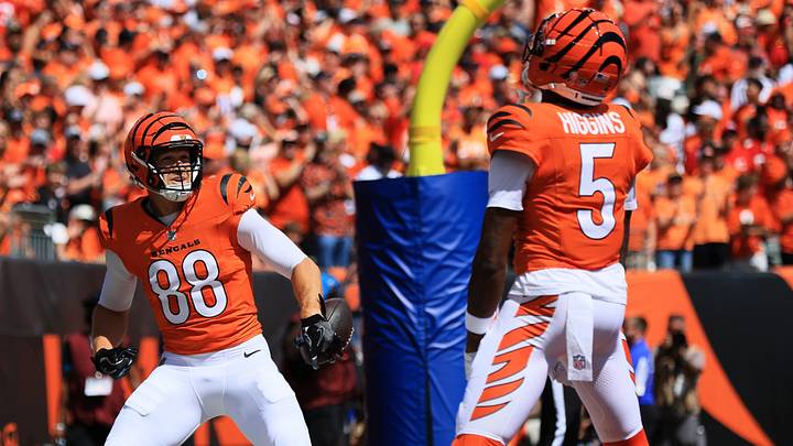 Cincinnati Bengals tight end Mike Gesicki Cincinnati Bengals tight end Mike Gesicki