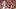 Pat Bryant, Denver Broncos, 2026 Fantasy Footbal Pat Bryant, Denver Broncos, 2026 Fantasy Footbal