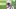 New England Patriots wide receiver Kyle Williams New England Patriots wide receiver Kyle Williams