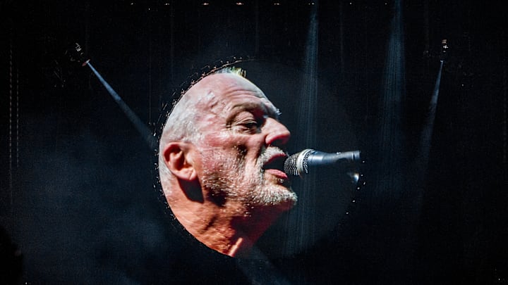 David Gilmour